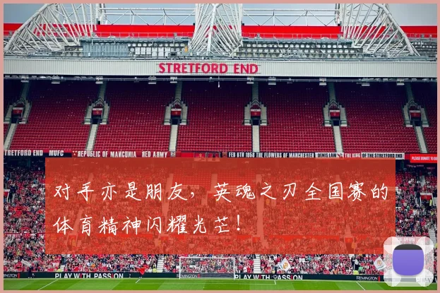 对手亦是朋友，英魂之刃全国赛的体育精神闪耀光芒！