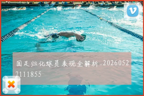 国足归化球员表现全解析_20260527111855