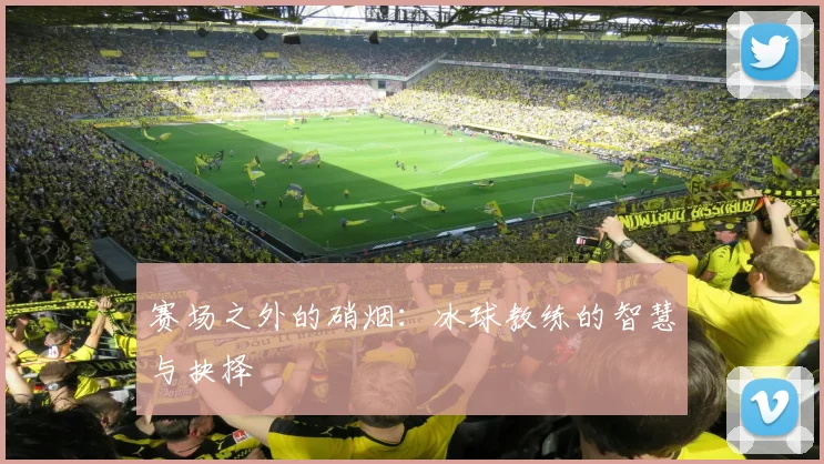 赛场之外的硝烟：冰球教练的智慧与抉择