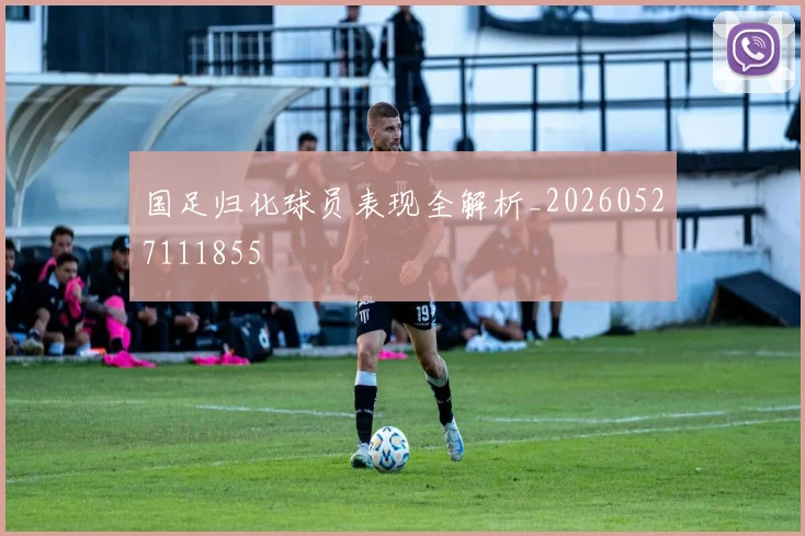 国足归化球员表现全解析_20260527111855