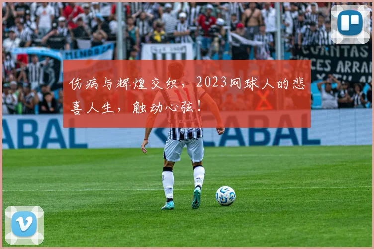 伤病与辉煌交织，2023网球人的悲喜人生，触动心弦！