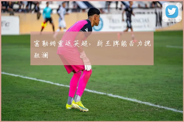 富勒姆重返英超，新王牌能否力挽狂澜