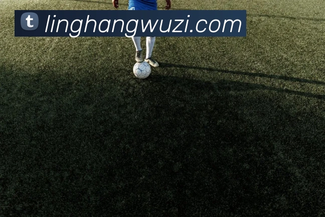 奖项证书
